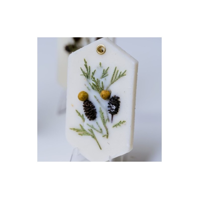 Cedar